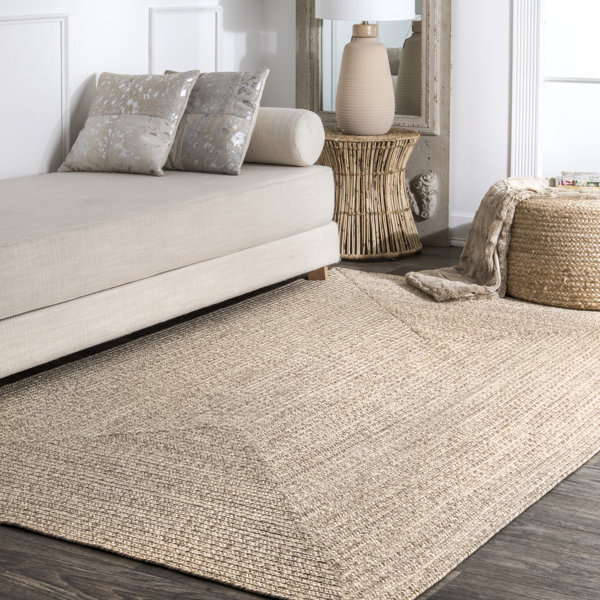 House of Hampton Bromsgrove Hand Braided Tan Indoor/Outdoor Rug